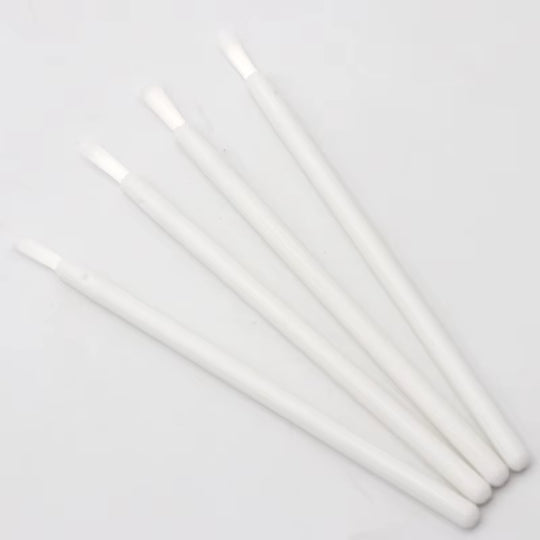 Disposable Nylon Lip Brush Set
