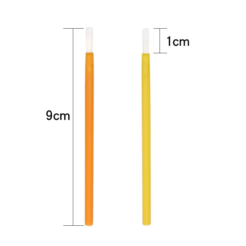 Disposable Nylon Lip Brush Set