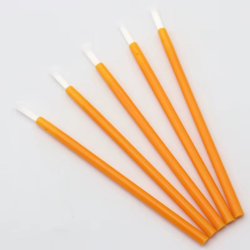 Disposable Nylon Lip Brush Set