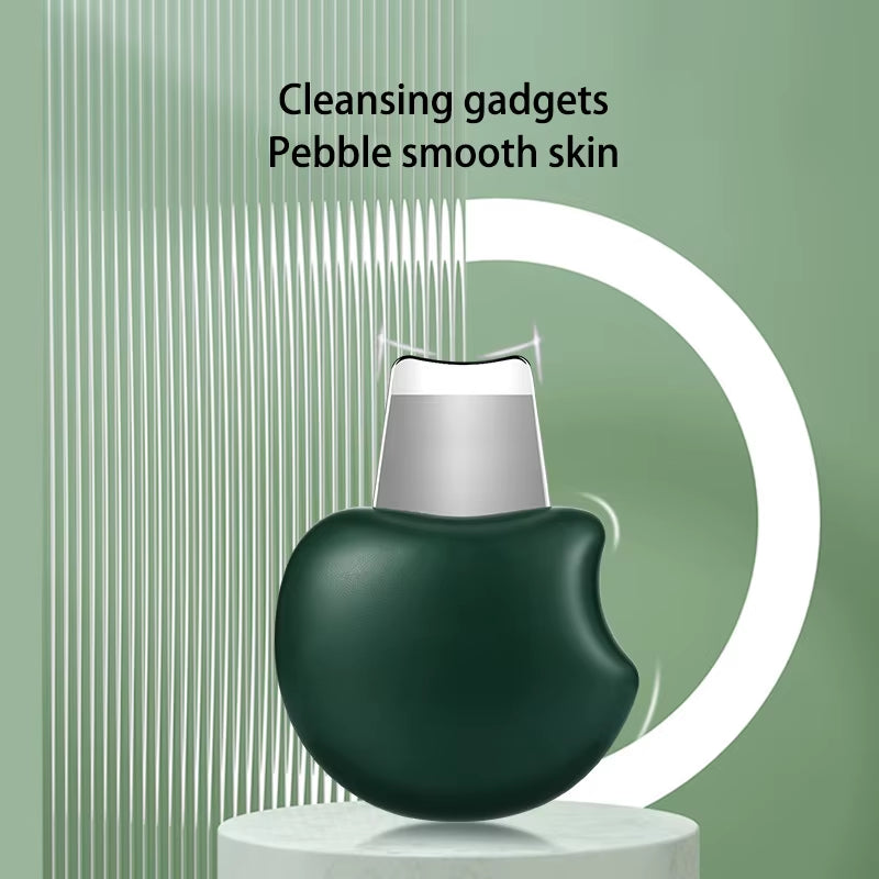 Facial Skin Scrubber Spatula